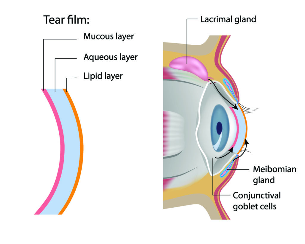 OptiLight dry eye treatment Fredericksburg, Stafford